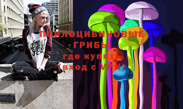 хмурый Горнозаводск